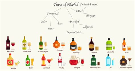 The Different Types Of Alcohol — A Comprehensive Guide Crafty Bartending