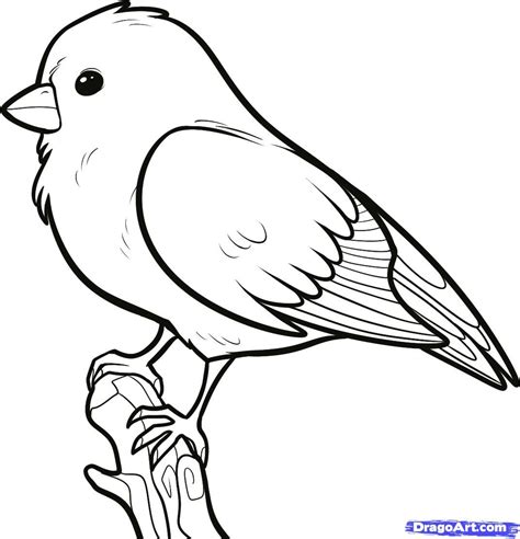 How To Sketch A Bird Easy At Drawing Tutorials