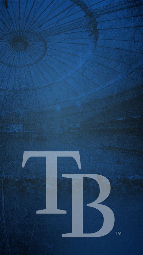 I had the opportunity to be in a position, with my gear, to capture these. Rays Mobile Wallpaper | Tampa Bay Rays