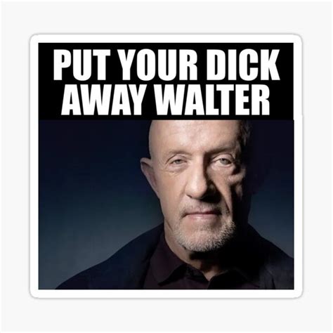 put your d ck away walter sticker for sale by gavinthelad redbubble