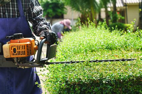 Going Pro 5 Tips To Help You Choose A Great Professional Landscaper