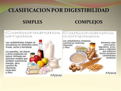 Cual Es La Importancia De Los Carbohidratos