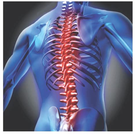 Back Pain Blog Spine Care Blog Qi Back Spine Clinic Blog New