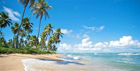 Las Mejores Playas De Natal Paseos Imperdibles Buena Vibra