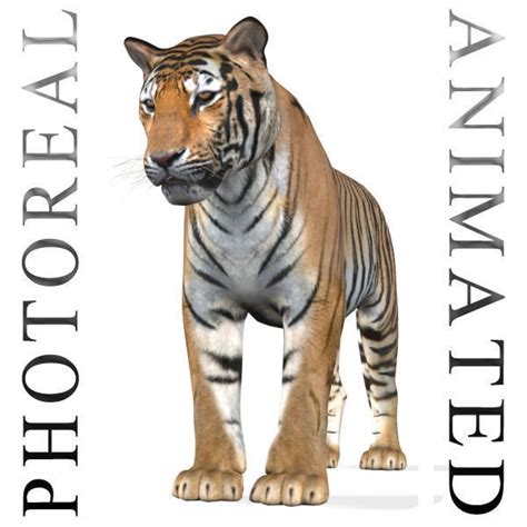 The Ultimate Cgi Tiger 3d Model 3d Model Animated Rigged Cgtrader