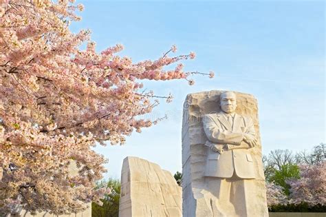Martin Luther King Jr Memorial During Cherry Blossom Festival In