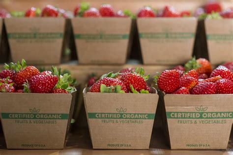 Strawberry U Pick And Farmstand — Blue House Farm