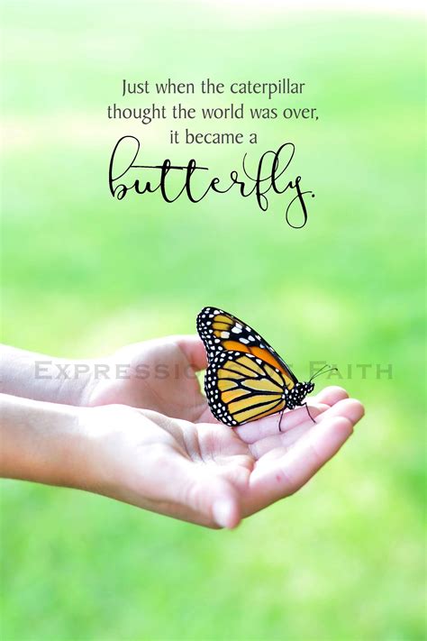 Just When The Caterpillar Thought The World Was Over It Became A Butterfly Inspirational