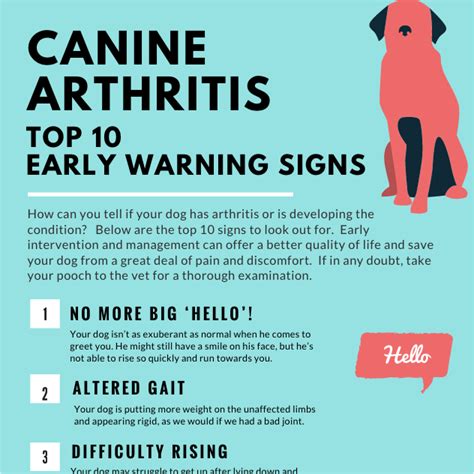 How Do You Know If Your Dog Has Arthritis