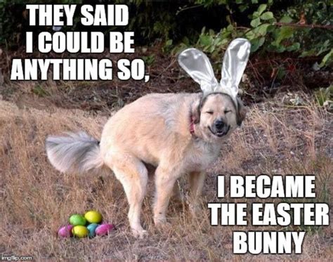 Top 25 Funny Easter Memes Quotes Jokes Sayings Photos Images