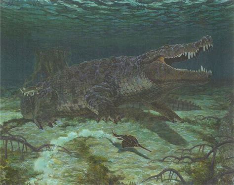 Deinosuchus Prehistoric Animals Prehistoric Creatures Extinct Animals