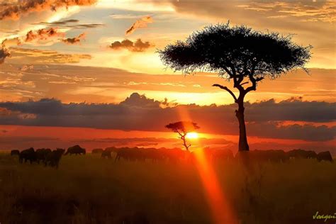 Kenya Sunset By Joaquin Tornel Pixdaus
