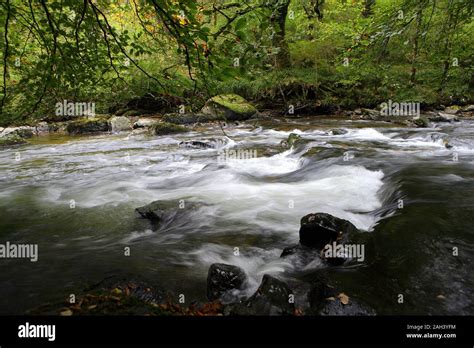 River Barle Upstream From Tarr Steps Exmoor National Park Somerset