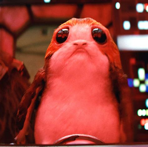 ‘star Wars The Last Jedi Meet The Porgs