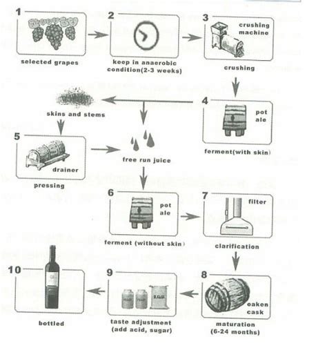 Ielts Task 1 Diagram Of The Production Of Red Wine Ielts Ielts