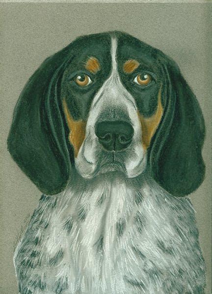 Bluetick Coonhound Painting By Linda Henthorn Fine Art America