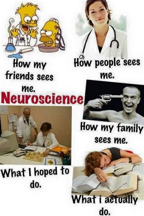 Med Student Neuroscience Neurology Funny Neurologist Humor