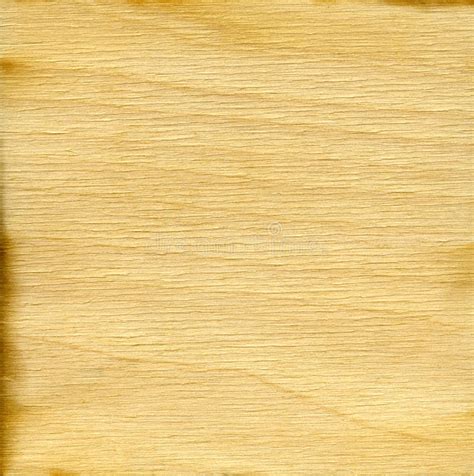Wood Texture With Natural Pattern Stock Image Image Of Material Brown 92724643