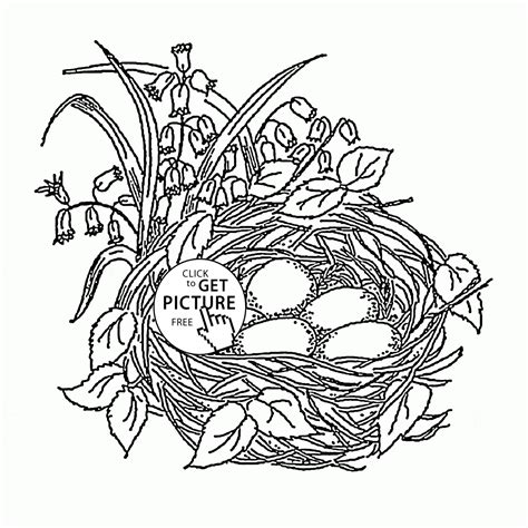 Save big + get 3 months free! Empty Bird Nest Coloring Page Coloring Pages