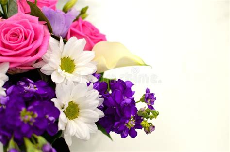Beautiful Bouquet Of Colorful Flowers On A White Background Close Stock