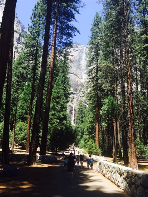 Yosemite National Park Visit: 10 Things to Do as a Family