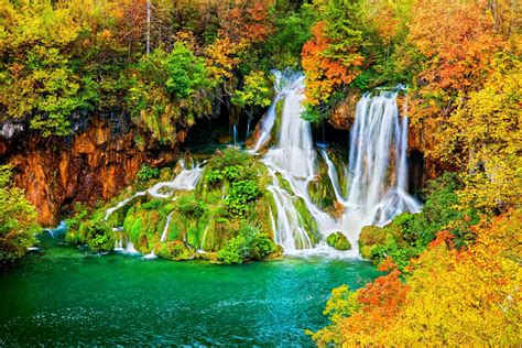 Autumn Forest Waterfall Hd Wallpaper Background Image