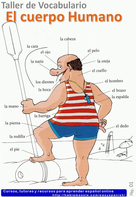 Body Parts In Spanish El Cuerpo Humano Spanish Vocabulary A1