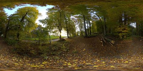Hdri 360° Forrest Autumn Openfootage