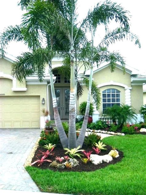 Small Palm Trees For Your Front Yard A Guide To Choosing The Right Ones