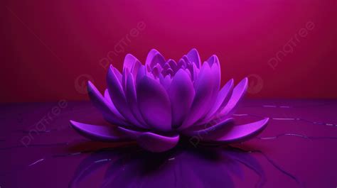 Purple Lotus Flower Flower On Purple Background 3d Lotus Flower On