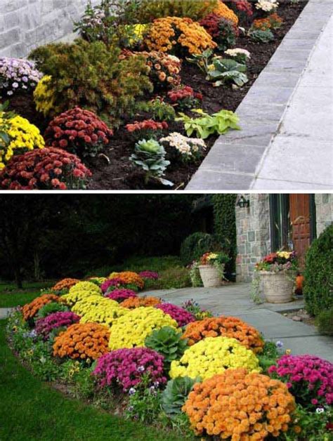 Plant Mums Pansies And Kale For The Fall Season Fall Curb Appeal