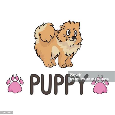 Kartun Lucu Pomeranian Anjing Breed Vector Clipart Silsilah Kennel