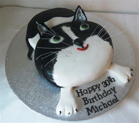 Healthy, delicious, all natural cakes perfect for a kitty birthday celebration. Cat Birthday Cakes