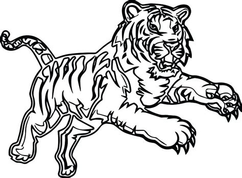 Tiger Coloring Pages Realistic At Free