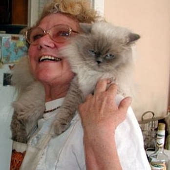 The answers are pretty simple; Persian & Himalayan Cat Rescue - 10 Reviews - Pet Adoption ...