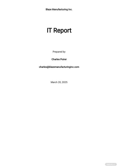 41 Free It And Software Report Templates Edit And Download