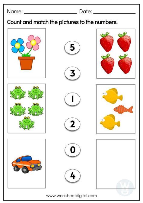 Count And Match Worksheet Digital