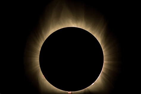 Total Solar Eclipse Corona Photograph By Steve Ferro Fine Art America