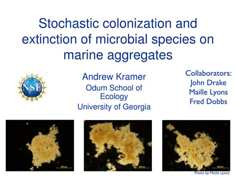 Ppt Stochastic Colonization And Extinction Of Microbial Species On