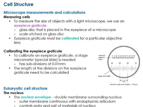 Aqa All A Level Biology Notes For Cells For New 7402 Spec Teaching