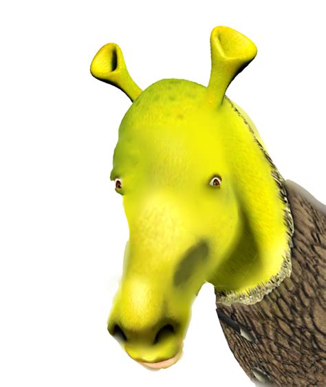 My Grandpa Drew This Picture Of Shrek As A Horse Do You Like It I