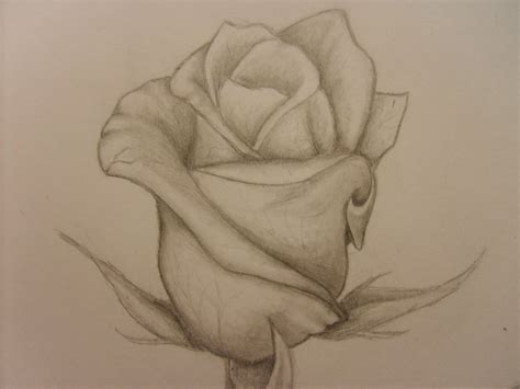 How To Draw A Rose Bud Art Starts