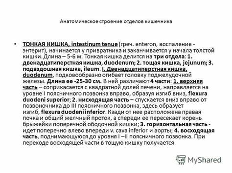 Презентация на тему: "Государственный Медицинский Университет г.Семей Картинка - Презентация на тему: "Государственный Медицинский Университет г.Семей