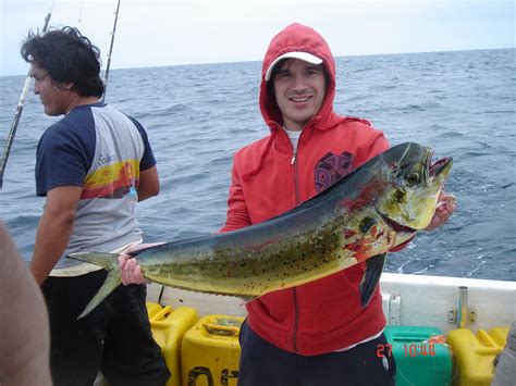 Correos De Lobo De Mar Últimos Lugares Para Tu Salida De Pesca En Ecuador