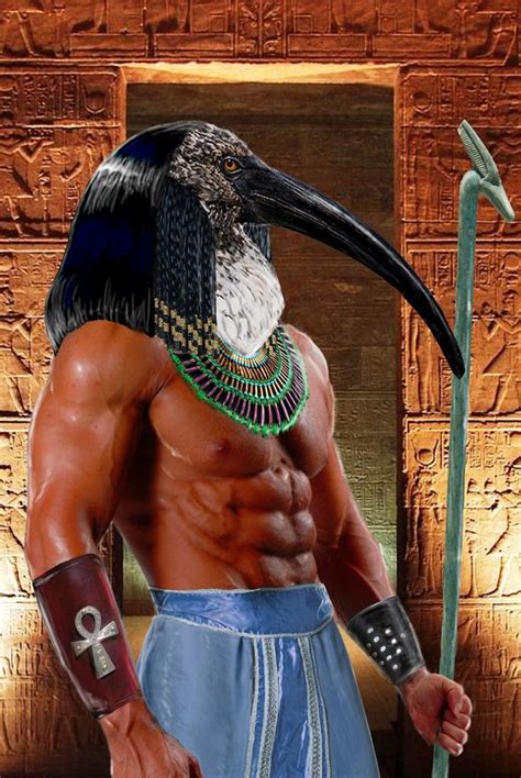 Ancient egyptians believed in the trichotomy of order, chaos, and renewal; Thoth - Egyptian Collection by TempoVision on DeviantArt