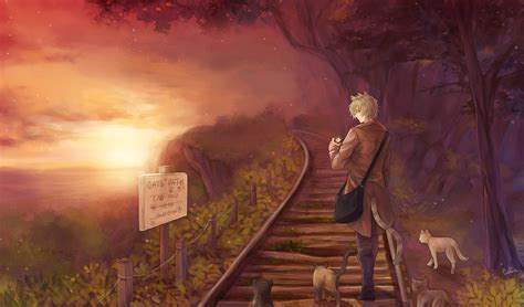 Download 2000x1173 Anime Boy Cats Sunset Scenic Animal