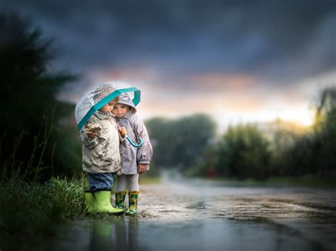 Wallpaper Sunlight Nature Reflection Rain Umbrella Morning