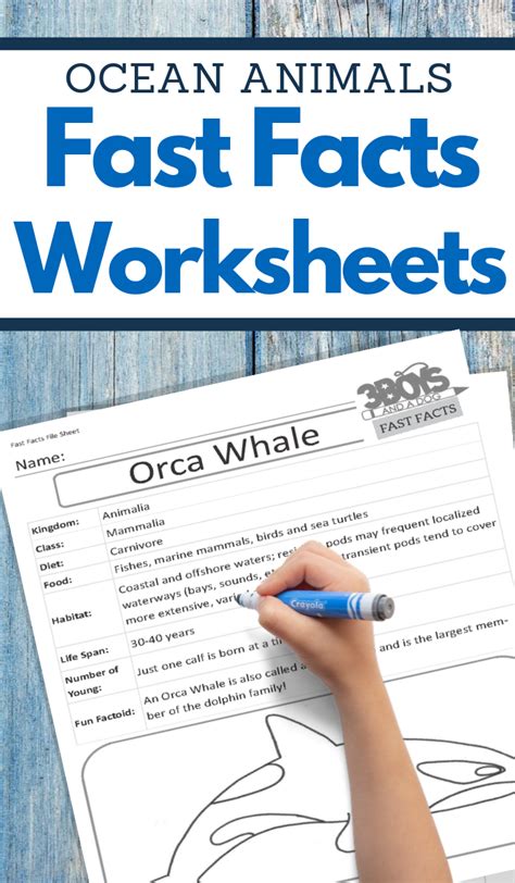 Pin on Ocean Animals Unit Study