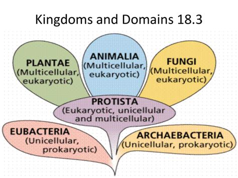 Kingdoms And Domains 183