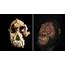 Ancient Fossil Reveals Face Of Early Human Ancestor
